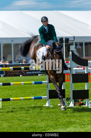 Springreiten in 2014 Balmoral zeigen, das Labyrinth, Lisburn, Nordirland. Stockfoto