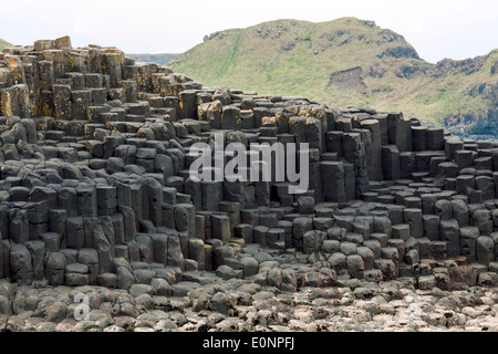 Giant es Causeway, eine weltberühmte UNESCO World Heritage Site befindet sich an der Antrim Küste von Nordirland, Vereinigtes Königreich. Stockfoto