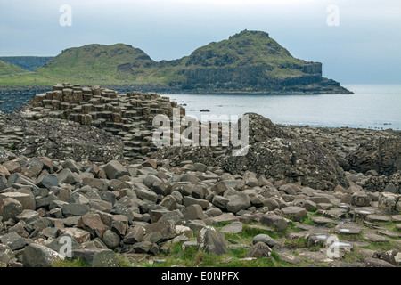 Giant es Causeway, eine amous UNESCO World Heritage Site befindet sich an der Antrim Küste von Nordirland, Vereinigtes Königreich. Stockfoto