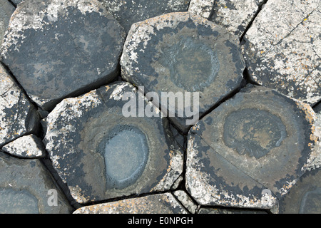 Nahaufnahme der Basaltsteine auf den Giant es Causeway an der Küste von Antrim, Nordirland, Vereinigtes Königreich, ein UNESCO-Weltkulturerbe. Stockfoto