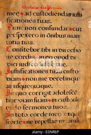 Eine Seite aus einem spanischen Chantmanuskript, das das komplizierte Design und die Notation zeigt, die typisch für mittelalterliche Chormusik ist. Dieses Manuskript ist Teil einer Sammlung, die religiöse Musik aus Spanien dokumentiert. Stockfoto