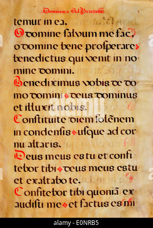 Eine historische Seite aus einem spanischen Chantmanuskript mit Notation eines alten Gesangs. Das Manuskript zeigt ein Stück historischer liturgischer Musik. Stockfoto