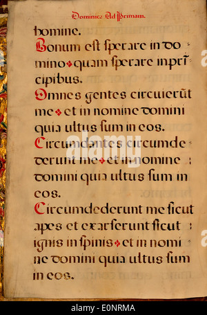 Eine Seite aus einem spanischen Chantmanuskript, das die historische und kulturelle Bedeutung der liturgischen Musik in Spanien zeigt. Diese Manuskriptseite bietet einen Einblick in Spaniens religiöse und musikalische Traditionen. Stockfoto