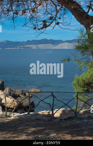 Schönen Aussichtspunkt über Pollensa Bucht in Richtung Formentor, mit alten Holz Geländer, Boot und Kiefer Baum. Mallorca, Balearen, Stockfoto