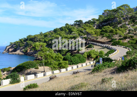 S-förmige Kurve in grüne Landschaft auf der Halbinsel von Alcudia, Mallorca. Mallorca, Balearen, Spanien im Oktober. Stockfoto