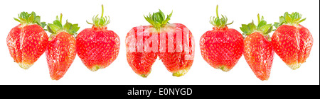 Erdbeeren Panorama Banner, frisches rohes Obst Stockfoto