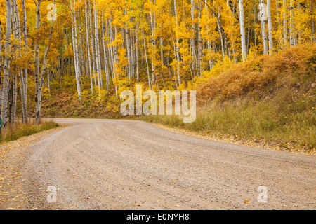 Herbstfarbe mit Aspen drehen - auf Kebler Pass Straße in Colorado. Stockfoto