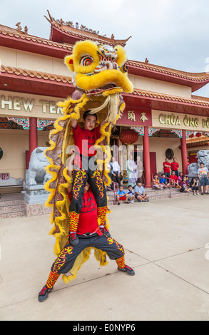 Löwentanz im Teo-Chew Tempel, vietnamesischer und taoistischer Tempel im Südwesten von Houston, Texas. Stockfoto