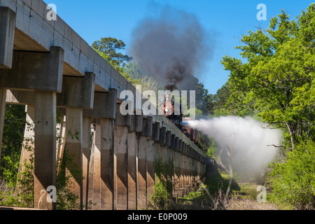 Texas State Railroad Railfan Foto Zugfahrt über die Neches River Bridge in East Texas. Stockfoto