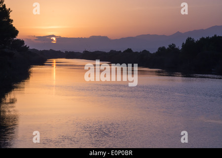 Vögel spielen um die Sonne bei Sonnenuntergang über den Canal de Siurana, Albufeira Naturschutzgebiet, Mallorca im Oktober. Stockfoto