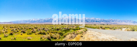 Ein Panorama der östlichen Sierra Nevada Berge von Manzanar California Stockfoto