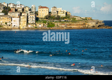 Sydney Australien, Bondi Beach, Pazifischer Ozean, Surfen, Wellen, Sand, öffentlich, North Bondi Rocks, Surfers, AU140310200 Stockfoto