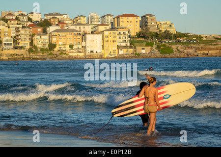 Sydney Australien, Bondi Beach, Pazifischer Ozean, Surfen, Wellen, Sand, Öffentlichkeit, North Bondi, Surfer, Surfer, weibliche Frauen, Surfbrett, AU140310232 Stockfoto