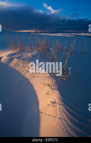 Seitliche Beleuchtung bei Sonnenuntergang zeigt einen Düne Rand in White Sands National Monument bei Sonnenuntergang in Alamogordo, New Mexico, USA. Stockfoto