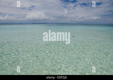 Belize, Karibik, Bezirk von Toledo, die Cayes. Westen Schlange Caye liegt in Belize Coastal Zone. Stockfoto