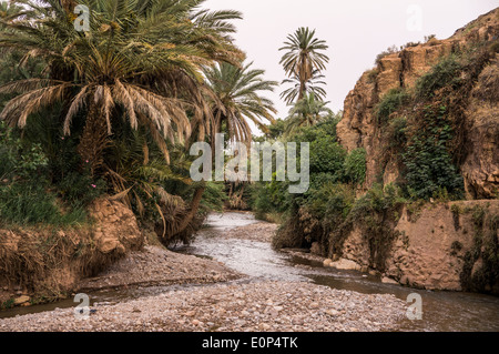 Fluss, der durch Berg Dades Tal (Tal der tausend Casbahs). Marokko, Afrika Stockfoto