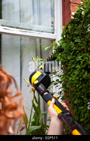 Frau trimmen Hecke mit einem schnurlosen elektrischen Heckenschere Stockfoto