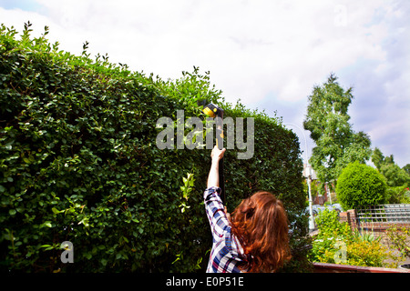 Frau trimmen Hecke mit einem schnurlosen elektrischen Heckenschere Stockfoto