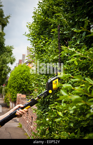 Frau trimmen Hecke mit einem schnurlosen elektrischen Heckenschere Stockfoto