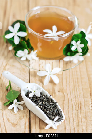 Grüner Tee mit Jasmin Blüte im Cup und keramische Kugel. Selektiven Fokus. Stockfoto