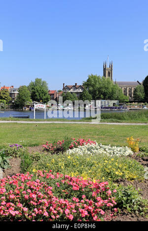 Hurst Park, England, Vereinigtes Königreich. 18. Mai 2014. Es war sonniger Tag in ganz Großbritannien mit fängt 24 Grad Celsius, so dass es des heißesten Tages des Jahres zu erreichen. Hier an den Ufern der Themse sind Blumen in voller Blüte und die Fähre trägt Passagier über Hampton neben der Segelclub und St. Marys Church. Bildnachweis: Julia Gavin/Alamy Live-Nachrichten Stockfoto