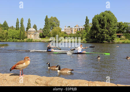 Hurst Park, Molesey, England, UK. 18. Mai 2014. Es war sonniger Tag in ganz Großbritannien mit fängt 24 Grad Celsius, so dass es des heißesten Tages des Jahres zu erreichen. Hier auf der Themse zu Männern paddeln Sie ihre Kanus vorbei Garrick Tempel in Hampton. Bildnachweis: Julia Gavin/Alamy Live-Nachrichten Stockfoto