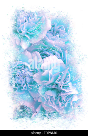 blau-Lavendel Rosen Stockfoto