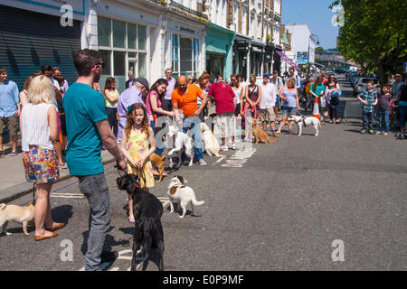 Primrose Hill, London, Mai 18. 2014. Wettbewerber Line-up der Primrose Hill Fair Hundeausstellung Londoner am heißesten Tag des Jahres so weit genießen. Bildnachweis: Paul Davey/Alamy Live-Nachrichten Stockfoto