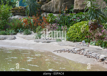 Ein Detail der Küste Pflanzen im Garten designed by Alan Titchmarsh in Zusammenarbeit mit Kate Gould auf RHS Chelsea Flower Show 2014. Der Garten "von the Moors zum Meer" feiert 50 Jahre im Gartenbau Handel für Herr Titchmarsh und der 50. Jahrestag of Britain in Bloom. Stockfoto