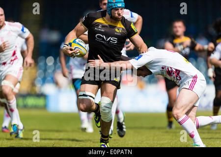 High Wycombe, England. 18. Mai 2014. James HASKELL von London Wasps auf die Ladung während der ersten Etappe der Europäischen Rugby Champions Cup Play Off Spiel zwischen London Wasps und Stade Francais Paris im Adams Park. Bildnachweis: Aktion Plus Sport/Alamy Live-Nachrichten Stockfoto