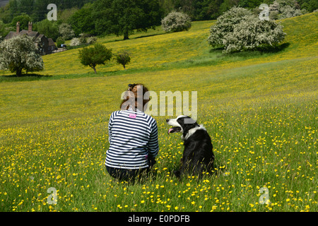 Buttercup Wiese mit Frau und Border Collie Hund in Butterblumen Uk Stockfoto