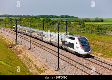 TGV Lyria (französische High-speed Rail Service) in die LGV Sud-Est in der Nähe von Sens, Frankreich wird dieser Zug in die Schweiz Stockfoto