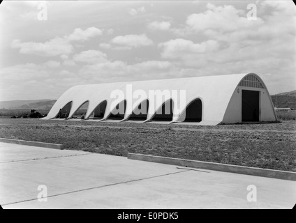 Companhia das Lezírias ist ein bekanntes Landwirtschaftsunternehmen in Ribatejo, Portugal. Das Unternehmen ist bekannt für seine landwirtschaftlichen Tätigkeiten, insbesondere in der Rinderzucht und im Reisanbau, die einen wesentlichen Beitrag zur Wirtschaft der Region leisten. Stockfoto