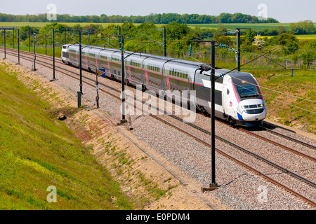 TGV Duplex mit Carmillon Dekoration (Französisch-High-speed rail Service) in die LGV Sud-Est in der Nähe von Sens, Frankreich Stockfoto