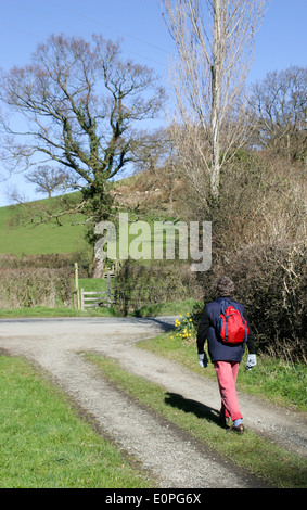 Offa es Dyke Path von Pfund Haus in der Nähe von Montgomery Powys Wales UK Stockfoto