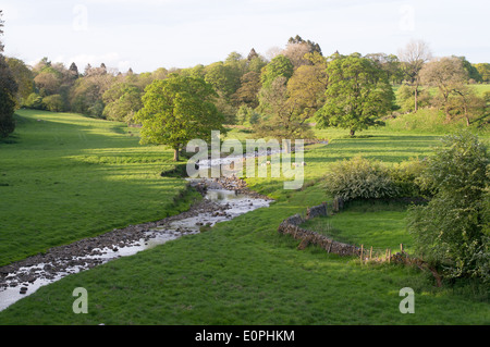 Tosside Beck Flusstal von Bowland Bolton, Lancashire, England, UK Stockfoto