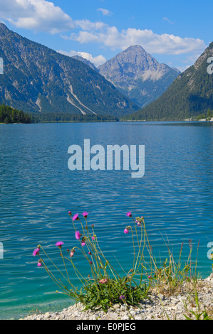 Österreich, Plansee, Tirol, See-Plansee, Seespitz, Ammergauer Alpen, Stockfoto