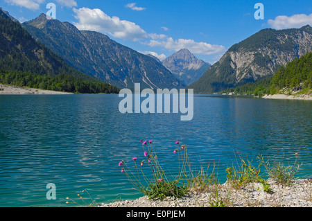 Österreich, Plansee, Tirol, See-Plansee, Seespitz, Ammergauer Alpen, Stockfoto