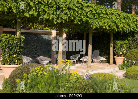 Moderner Garten mit Plisseebäumen Moderne Gartenmöbel, Sessel mit Zitronenbäumen in Terrakotta-Behältern - Topiary Box Balls UK Stockfoto