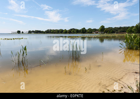 Lake Griffin in Leesburg, Central Florida Küste. Stockfoto