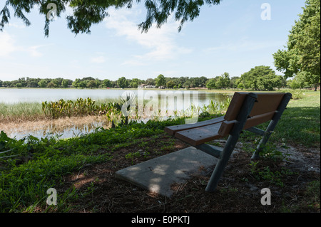 Lake Griffin in Leesburg, Central Florida Küste. Stockfoto