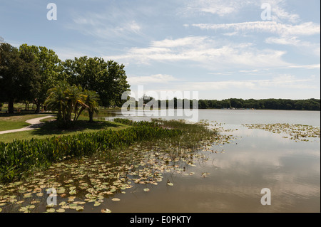 Lake Griffin in Leesburg, Central Florida Küste. Stockfoto