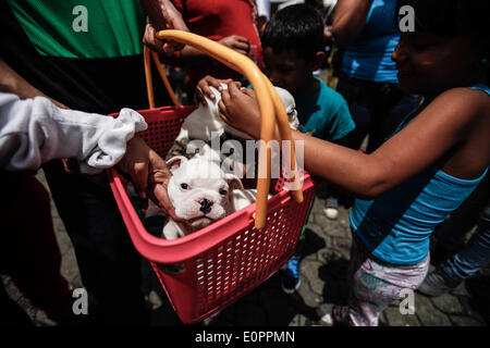 Bogota, Kolumbien. 18. Mai 2014. Kinder betrachten Hunde während des Rennens "Pet-Run" in Bogota, Hauptstadt von Kolumbien, am 18. Mai 2014. Bildnachweis: Jhon Paz/Xinhua/Alamy Live-Nachrichten Stockfoto