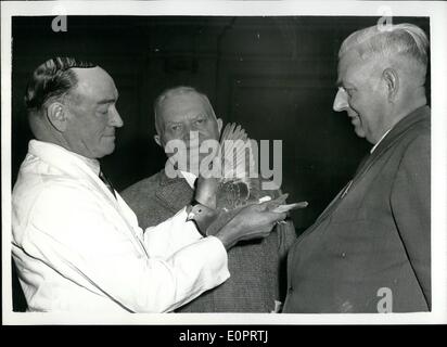 11. November 1956 - die alten Kameraden Racing Pigeon Show: Die alten Kameraden, die jährliche Racing Pigeon Show ist Hilfe von gründet der Stars und Gardner Hause für behinderte Soldaten - wird in der Royal Horticultural Hall. Foto zeigt Herr A.R Smillie - Sekretär der schottischen Homing Union Beurteilung der Tauben für den '' Best In the Show'' Cup - Center beobachtet: V/Pres - Mr J. Luyten von Amsterdam - der Königliche Belgische Taube Verband- und rechts Herr W. Otterpohl von Nordrhein-Westfalen, Deutschland... Sie waren auch Richter in der Show. Stockfoto