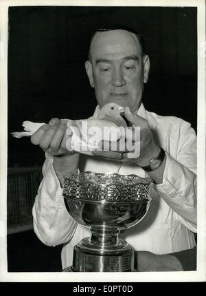 16. November 1956 - die alten Kameraden Racing Pigeon Show: Die alten Befehle jährlichen Racing Pigeon Show - in Hilfe der gründet für Star und Carter Zuhause für deaktivieren Servicemann - findet in der Royal Horticultural Hall. Foto-Show Mr A.R. Smile - Sekretär der schottischen Homing-Union - hält die Taube, die er als bester in der Show beurteilt. Es ist im Besitz von Mr J.F. Temple of Scarborough - zeigt den Cup - Harry Hyde Memorial Trophy - Vormittag. Stockfoto