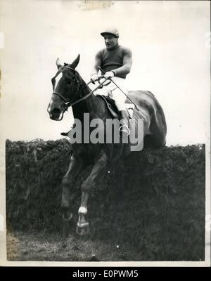 3. März 1957 - Sonnentau gewinnt das Grand National in 20-1: Fred Winter, der Champion Hindernislauf Jockey gewann 1957 Grand National in Liverpool heute auf Frau Geoffrey Khon Sonnentau, nach der Spitze des Feldes von Anfang bis Ende. Dies war seine dritte Versuch in das Grand National. Foto zeigt Sonnentau geritten von Fred Winter nimmt den letzten Sprung weit vor dem Rest des Feldes. Stockfoto