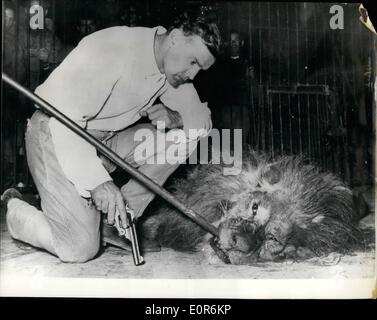 28. April 1958 - schießt Zirkus-Chef seinen Löwen durchführen. Er wurde '' Too Tough To Handle'': Orlando, '' Orfei'' Zirkus in Italien - kürzlich getöteten "Prime" - seine neunjährige darstellende Löwe - läuft, weil das Tier zu handhaben zu gefährlich wurde. '' Prinz '' ein hatte bereits zwei dänische Lionn Dompteure - angegriffen und versucht, im Orlando. Das Foto zeigt Orlando mit '' Prince'' - nach den Dreharbeiten des letzteren im '' Orfei'' Zirkus in Florenz, Italien. Stockfoto