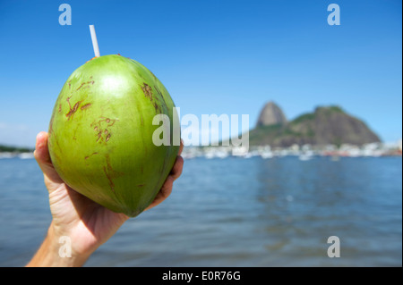 Hand mit frischen Coco Gelado trinken Kokosnuss gegen die Ansicht der Guanabara-Bucht und Zuckerhut Rio De Janeiro Brasilien Stockfoto