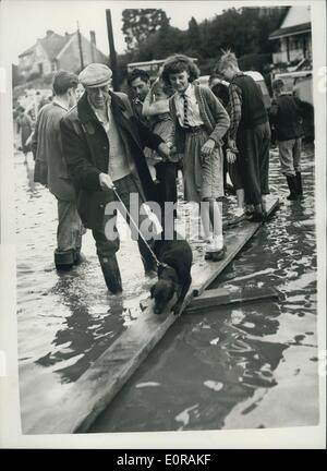 Sept. 24, 1958 - Hochwasser - acht Fuß tief In Straßen von Wickford Essex - nach starken Regenfällen; Ein Teil der Stadt Wickford, Essex war acht Füße unter die Esser - zu einer Zeit heute nach der heftigen Regenfälle verursachte der Fluss ducken zu seinen Ufern zum fünften Mal in diesem Jahr platzen. Das Foto zeigt von zu Fuß-der-Plank bei Wickford, Essex heute trocken zu halten. Stockfoto