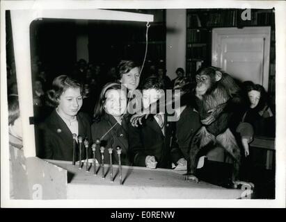 04. April 1959 - XYZ Club Treffen im Zoo.: Mitglieder des XYZ Clubs - die Junior Sektionen der Zoological Society of London, trafen sich heute zum ersten Mal im London Zoo. Während einer Demonstration von jungen Schimpansen in der Ausbildung für den neuen Children  Zoo, organisiert von Dr. Desmond Morris, Kurator von Mammal im London Zoo. Und Mr. W.P. Peckett, der Leiter des Kinderzoos - Schimpansen ''Fifi'' mit 4 1/2, ''Beebee' mit 2 1/2 und ''Josie' mit 2 1/ - alle Weibchen, nahmen an einem Wettbewerb Teil, der aus dem Niederschlagen von Trauben mit einem schwingenden Ball bestand Stockfoto